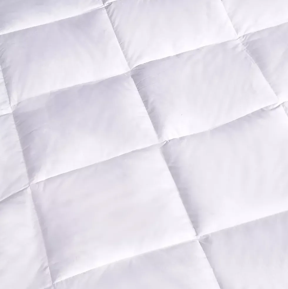 Blue Ridge Home Fashions Down Featherbed Mattress Topper