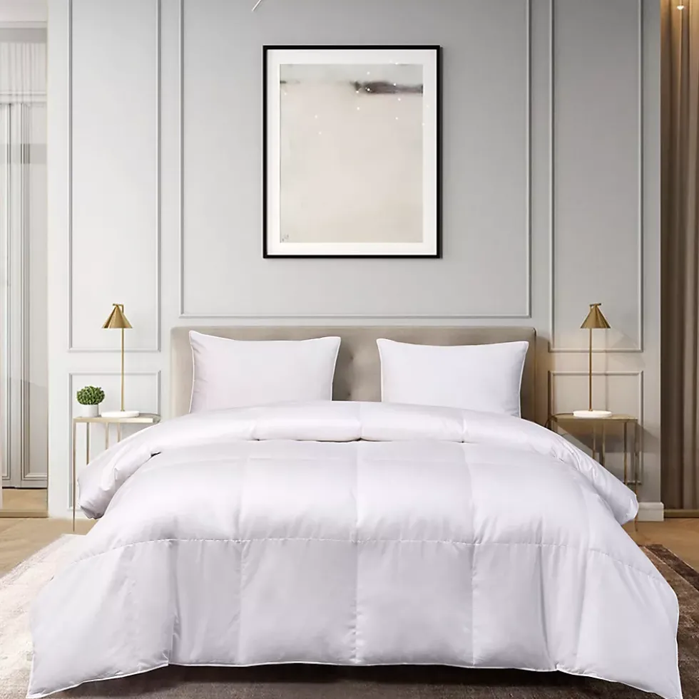 Blue Ridge Home Fashions 1000 Thread Count White Goose Down Supima Cotton Comforter