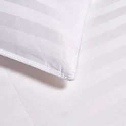 Blue Ridge Home Fashions 350 Thread Count Down Cotton Comforter