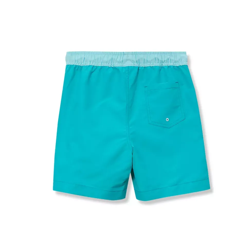 Boys Chlorine Resistant 5in Swim Trunks with Mesh Liner