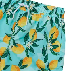 Boys Chlorine Resistant 5in Swim Trunks with Mesh Liner