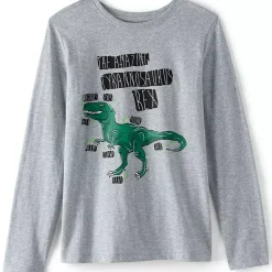 Boys Long Sleeve Graphic Tee