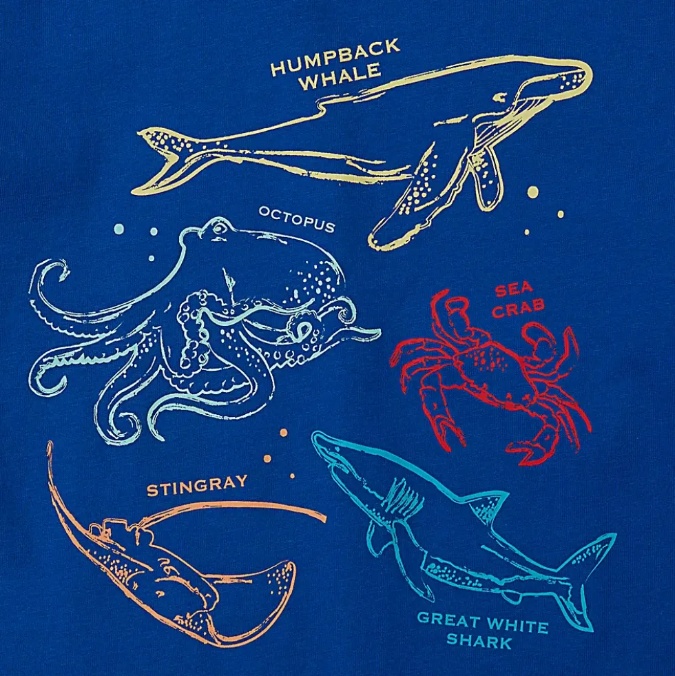 Boys Short Sleeve Graphic Tee