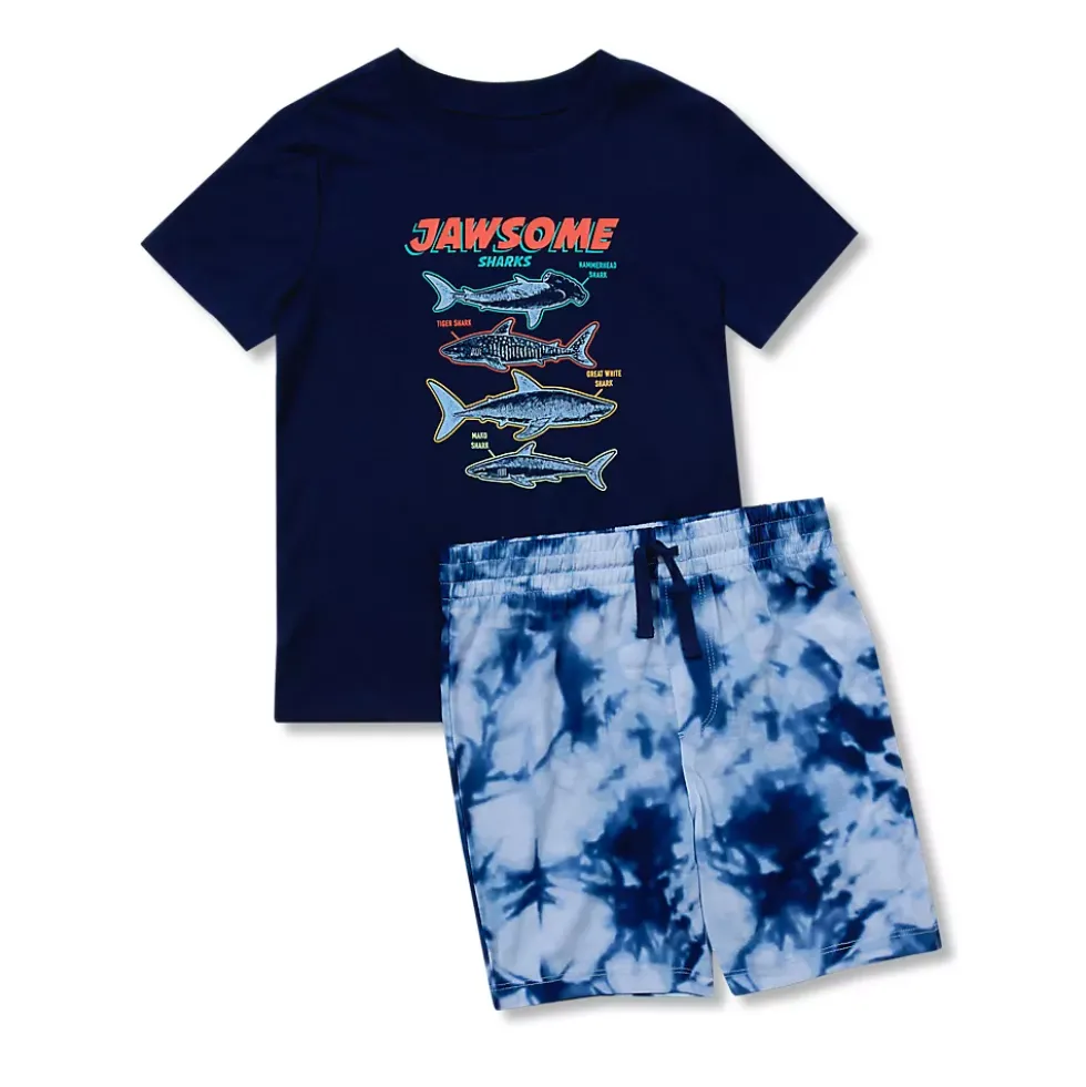 Boys Short Sleeve Tee and Shorts Pajama Set