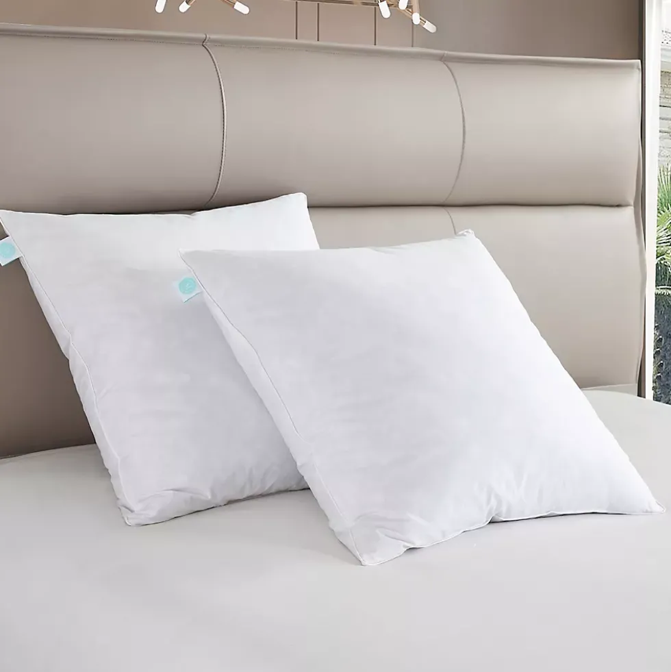 Martha Stewart European Square Feather Firm Pillow 2 Pack