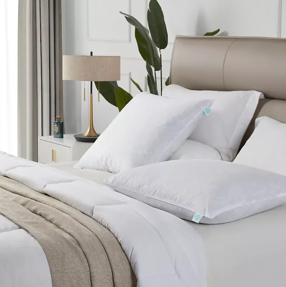 Martha Stewart European Square Feather Firm Pillow 2 Pack