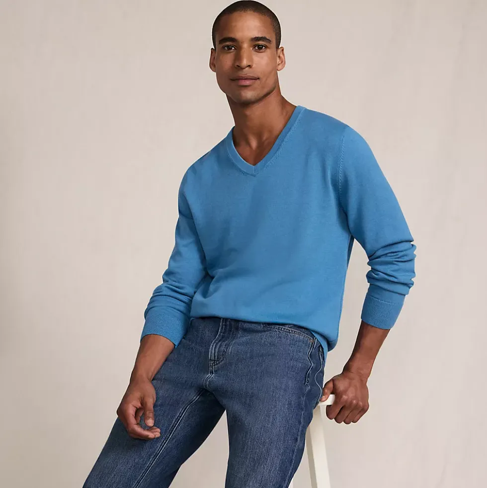 Men's Fine Gauge Cotton V Neck Sweater