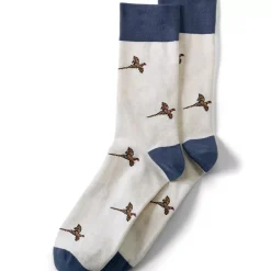 Men's Novelty Dress Socks 1pk