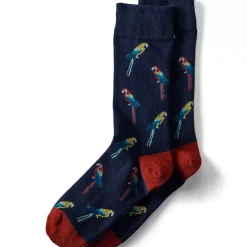 Men's Novelty Dress Socks 1pk