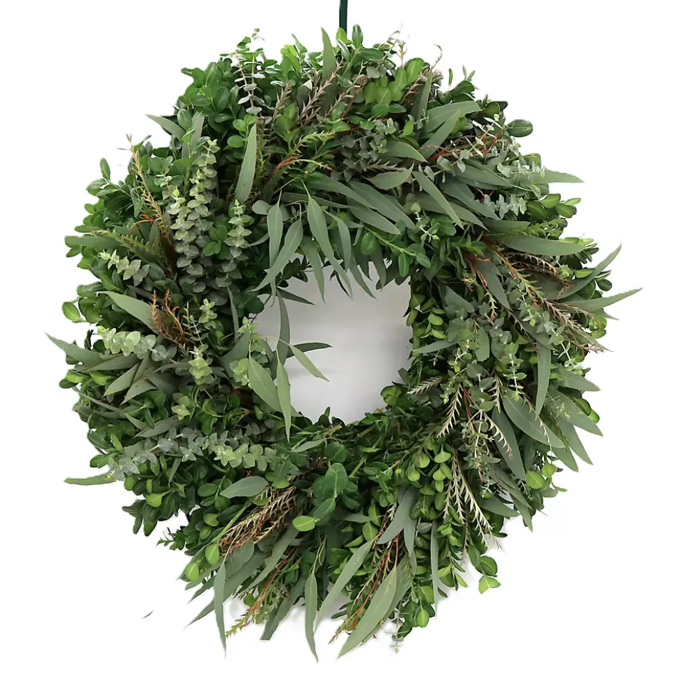 Teufel 18" Eucalyptus and Grevillea Wreath