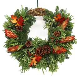 Teufel 18" Grapevine Wreath