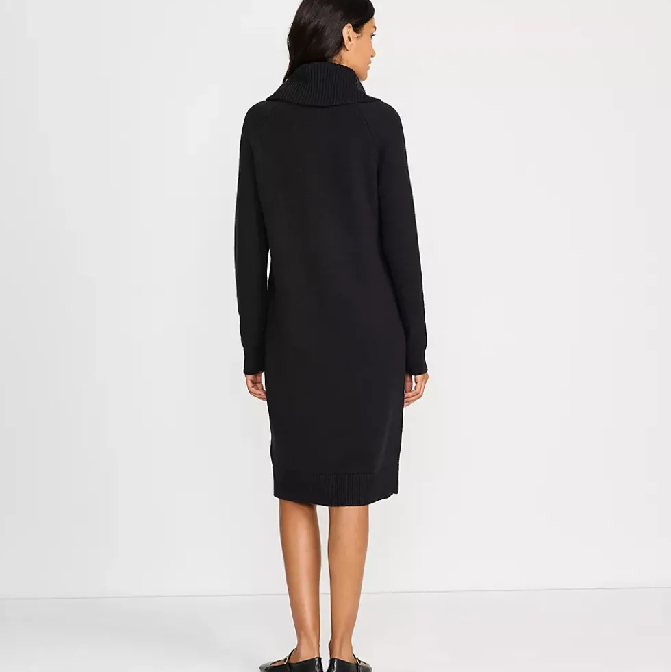 Women's Cozy Lofty Cowl Neck Sweater Dress