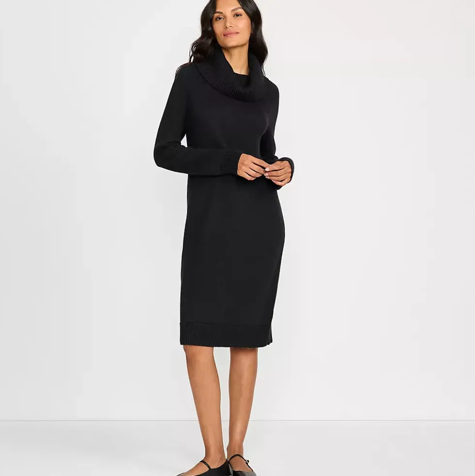 Women's Cozy Lofty Cowl Neck Sweater Dress