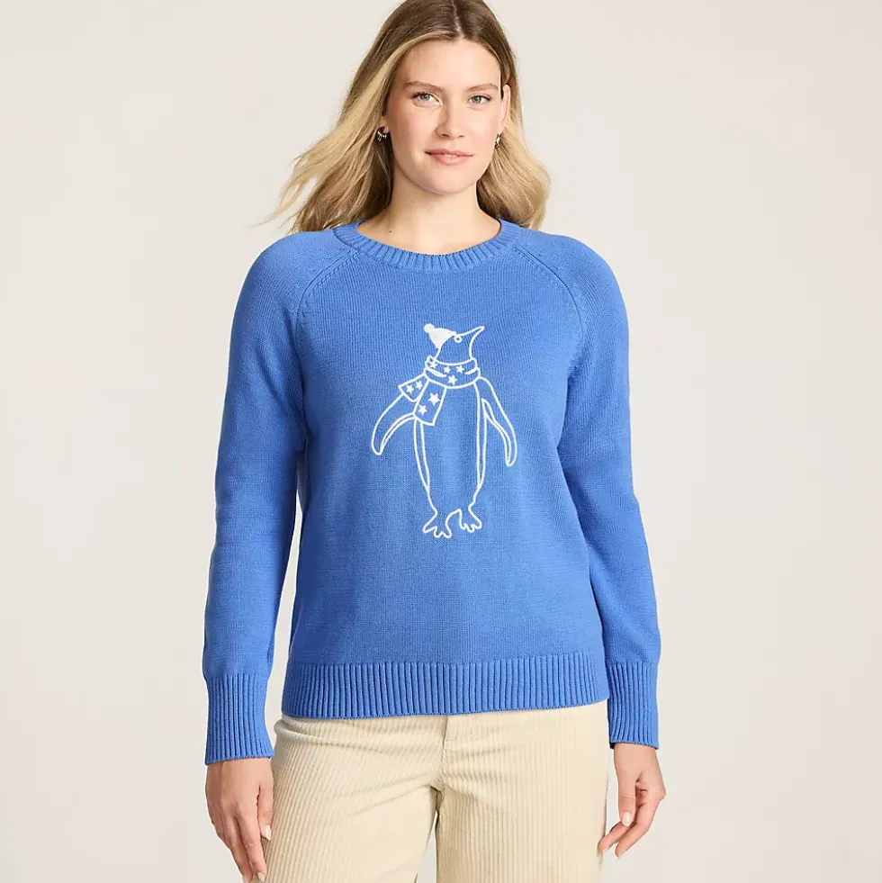 Women's Drifter Embroidered Raglan Crew Neck Sweater