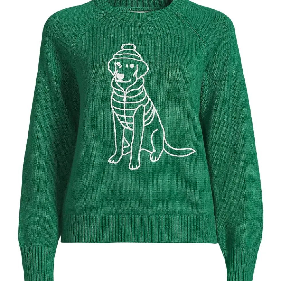 Women's Drifter Embroidered Raglan Crew Neck Sweater