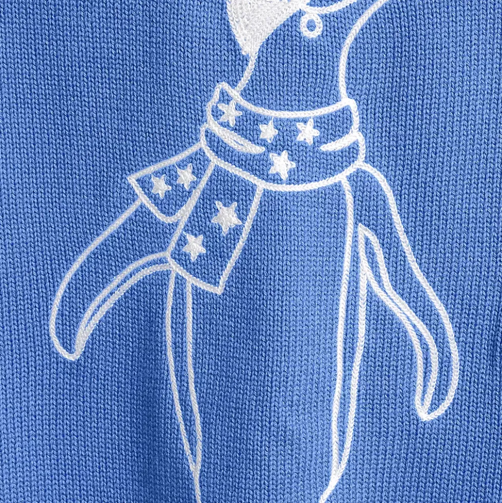 Women's Drifter Embroidered Raglan Crew Neck Sweater