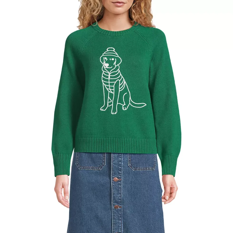 Women's Drifter Embroidered Raglan Crew Neck Sweater