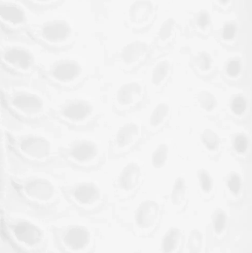 Women's Long Sleeve Eyelet Mini Popover Dress