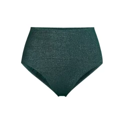 Women's Shine High Waisted Bikini Bottoms